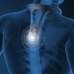 Ergonomic Posture Corrector For Back Support And Comfort