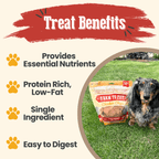 Chicken Chips for Dogs | All-Natural Single-Ingredient Dog Treats