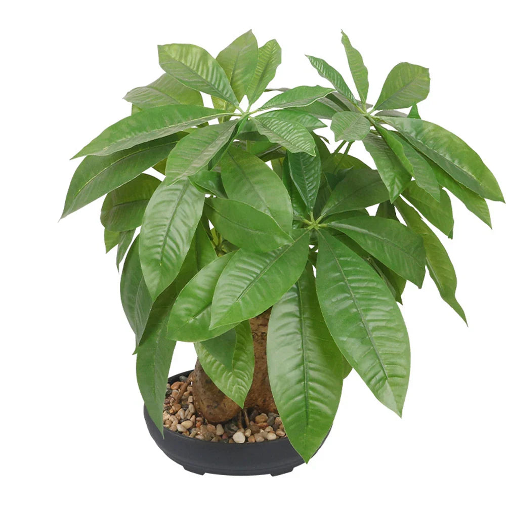 Dlight Decor 43 Cm Potted Monstera Money Tree For Home