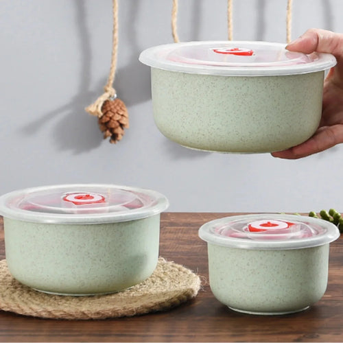 Bento Food Storage 3 Containers – Microwaveable Meal Prep Box