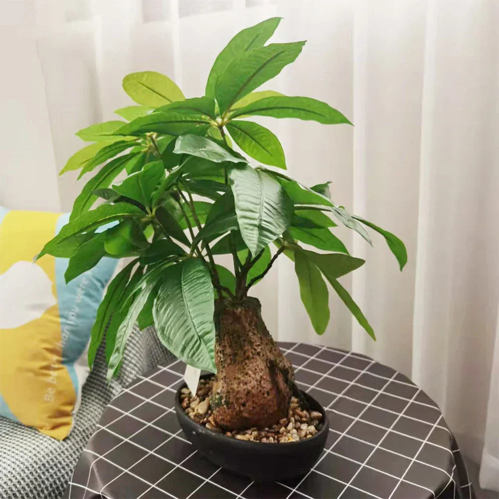Dlight Decor 43 Cm Potted Monstera Money Tree For Home