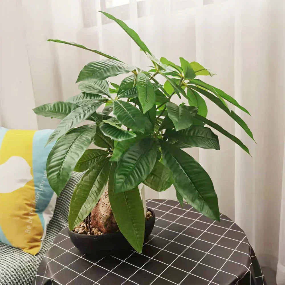 Dlight Decor 43 Cm Potted Monstera Money Tree For Home
