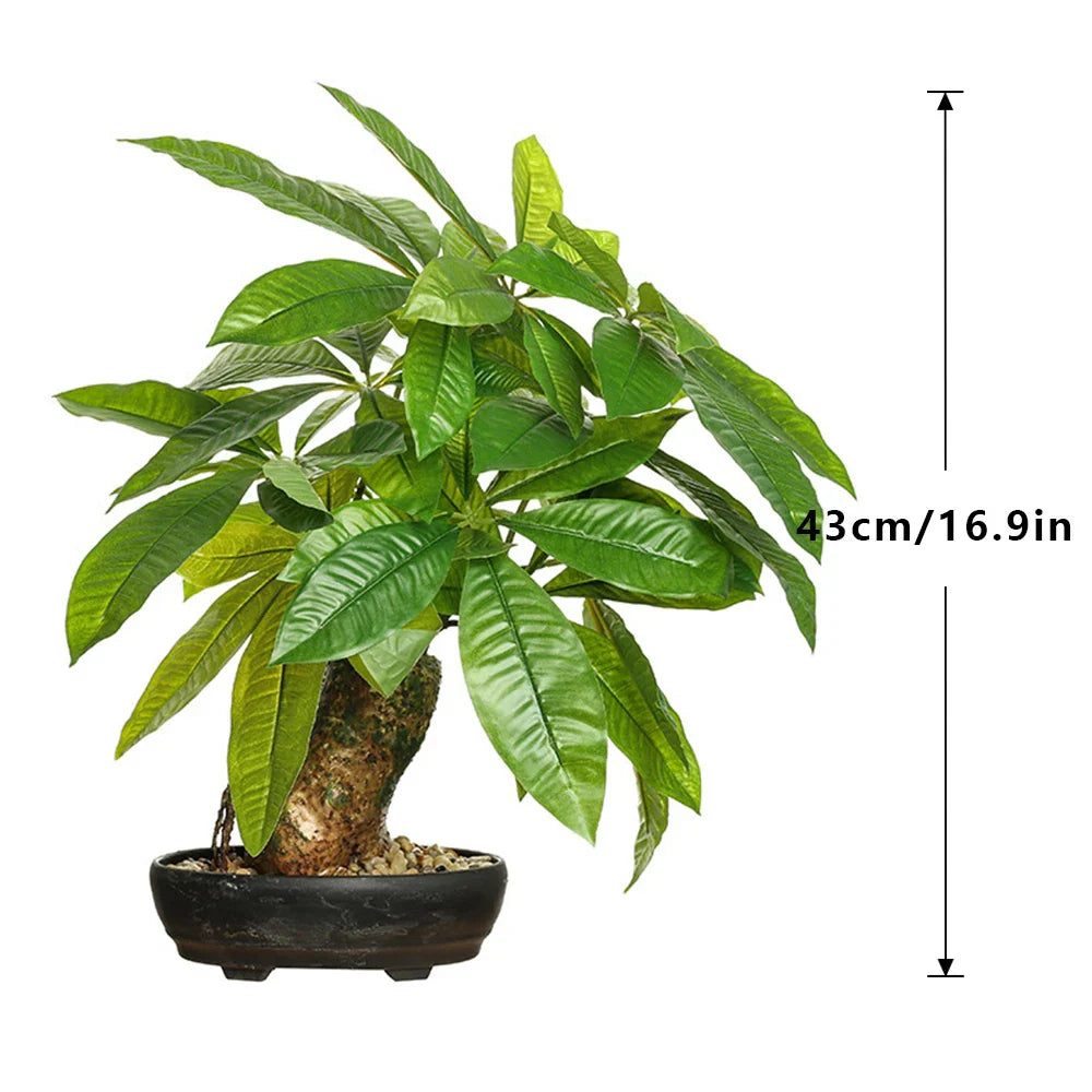 Dlight Decor 43 Cm Potted Monstera Money Tree For Home
